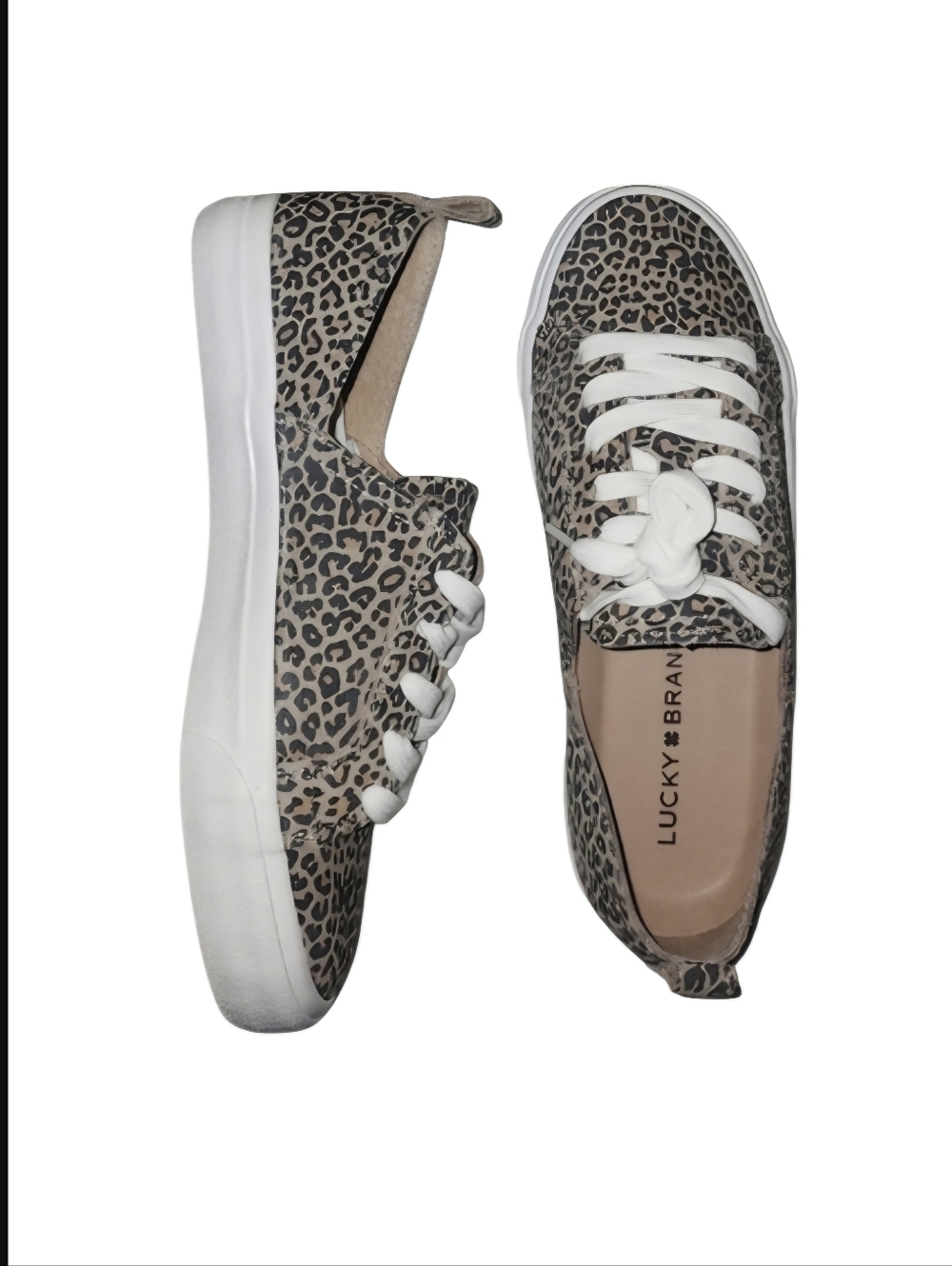 NWT in box LUCKY BRAND Company LK-Dansbey Leather Slip On Shoes. Women's 6 M